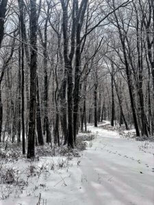 Snowy Day in Deep Creek Lake, MD
