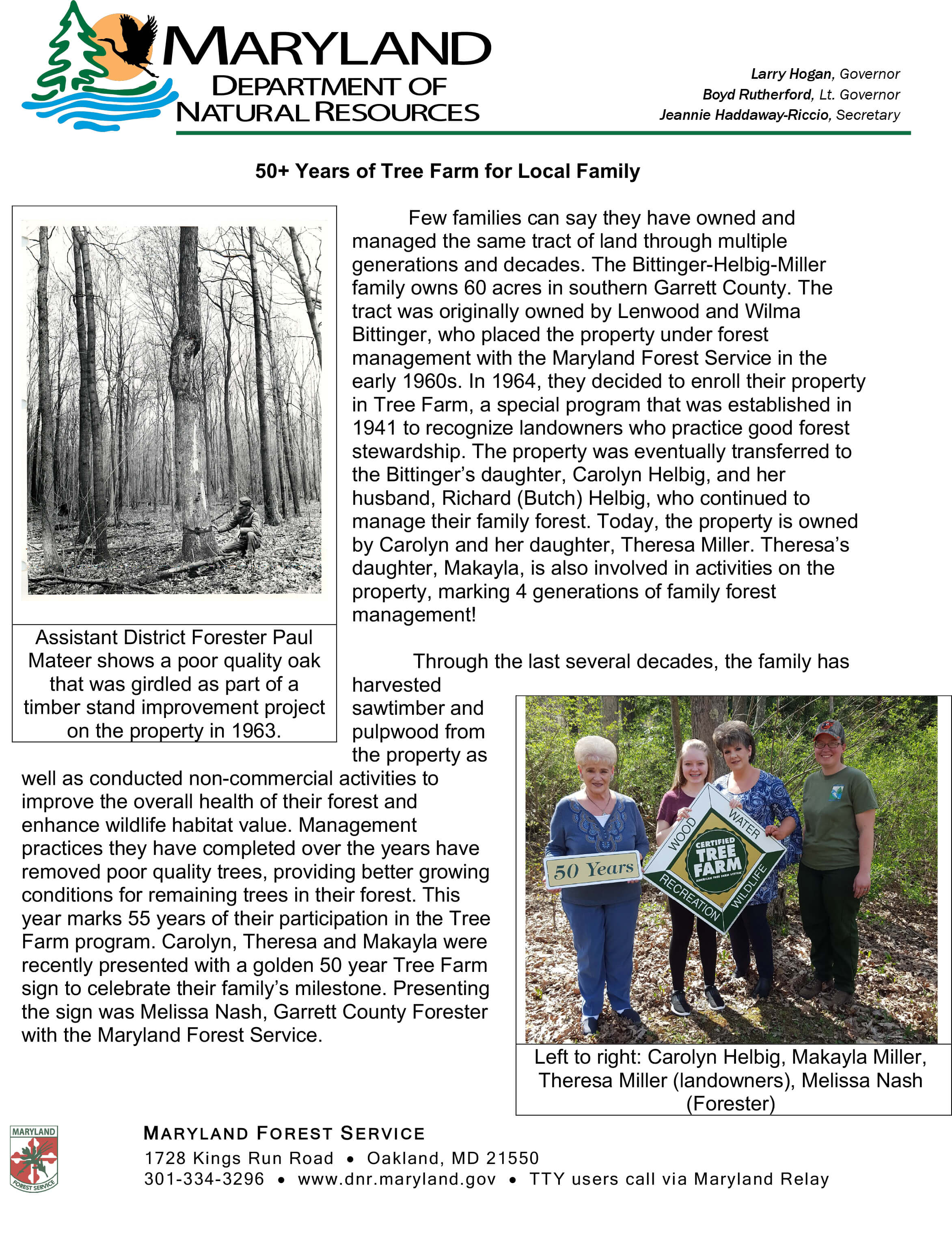 Helbig 50 Year Tree Farm at Deep Creek Lake