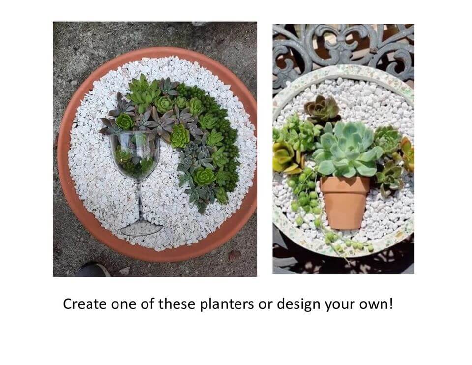 Make and Take - Create your own Succulent Planter