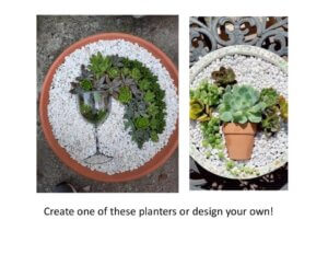 Make and Take: Potted Succulent Class