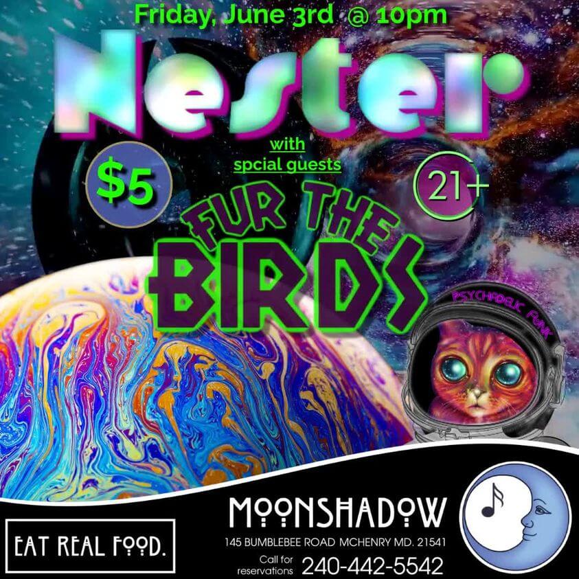 Nester with Special Guests Fur The Birds at MoonShadow