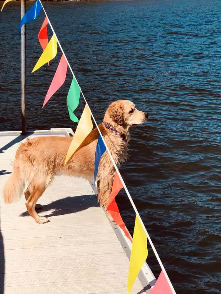 Sarah Gibson Kilbey Dog on Dock at Deep Creek Lake, MD