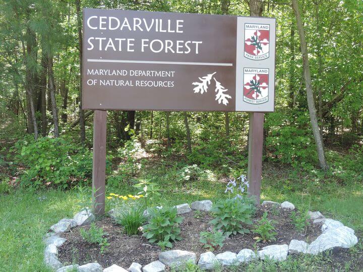 Volunteer Work Day at Cedarville State Forest