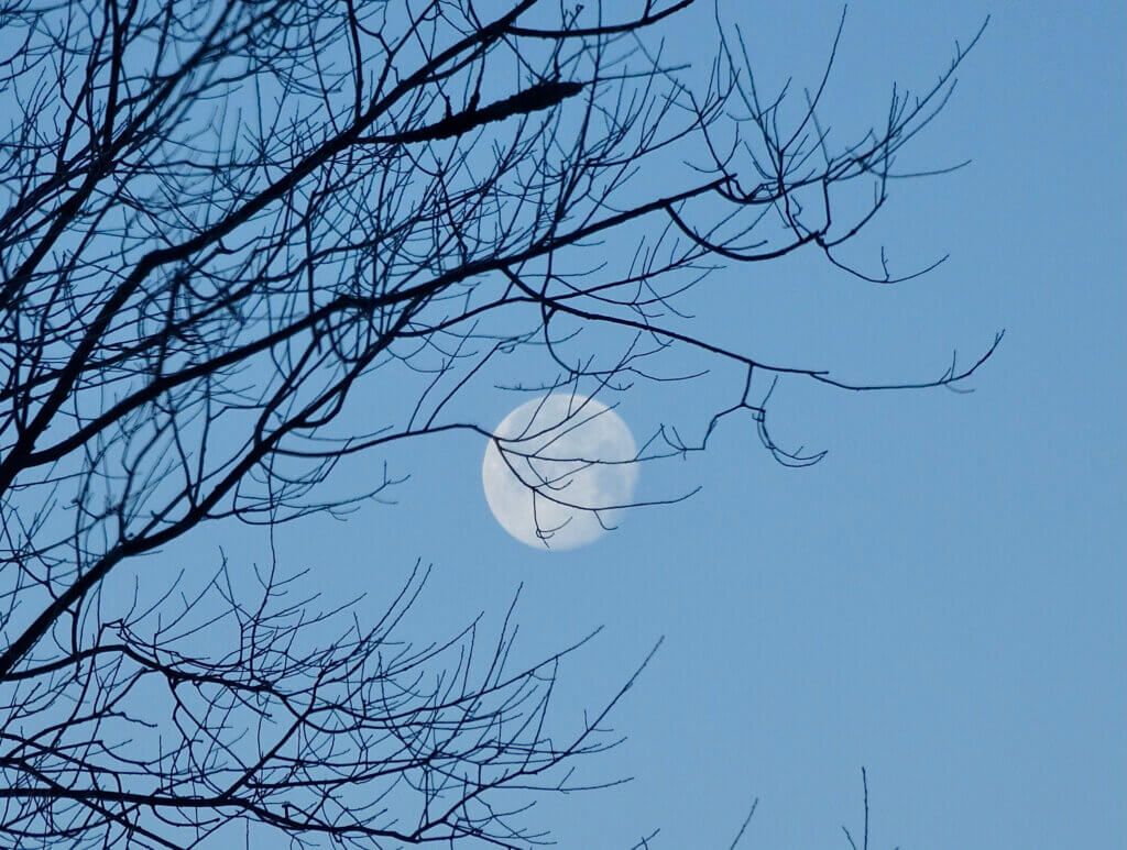 morning moon hana glodfelter